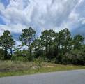 12350 Elm Point - Photo 5