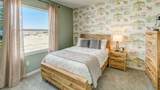 31223 Paper Birch Street - Photo 13