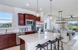 12416 Adobe Street - Photo 2