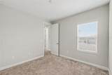 11701 Navajo Sandstone Street - Photo 32