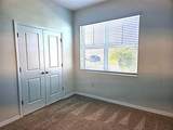 3908 Mossy Limb Court - Photo 13