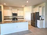 3908 Mossy Limb Court - Photo 5