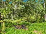 4617 Debbie Lane - Photo 47