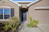 2812 Gumbo Limbo Drive - Photo 29