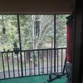 4927 Puritan Circle - Photo 10
