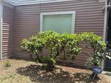 807 Osborne Avenue - Photo 1