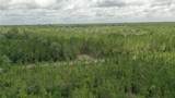  Us Hwy 441 - Photo 11