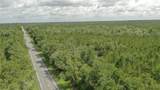 Us Hwy 441 - Photo 21