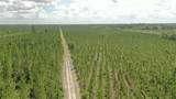  Us Hwy 441 - Photo 22