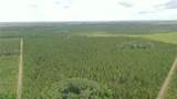  Us Hwy 441 - Photo 23