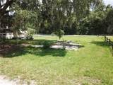 36749 Judee Drive - Photo 4