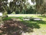 36749 Judee Drive - Photo 5