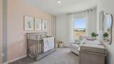 35577 Brick Church Loop - Photo 19