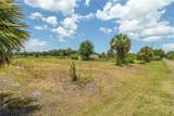 29051 Maris Drive - Photo 6