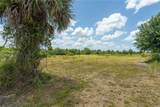 29051 Maris Drive - Photo 8