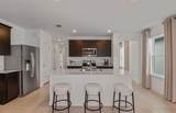 5518 Freesia Drive - Photo 3