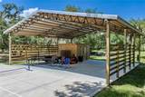 11518 Hammock Oaks Court - Photo 62