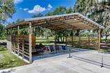 11518 Hammock Oaks Court - Photo 63