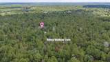 15624 Peace Boulevard - Photo 7