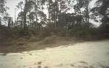 350 Tern Avenue - Photo 6