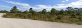  Coral Rock Drive - Photo 1