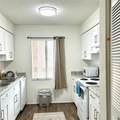 7531 Pitch Pine Circle - Photo 10
