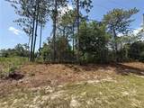 7069 Santos Drive - Photo 2