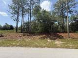 7069 Santos Drive - Photo 4