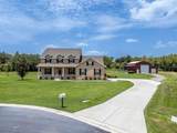 8703 Alafia Hills Drive - Photo 2