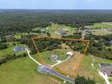 8703 Alafia Hills Drive - Photo 4