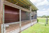 8703 Alafia Hills Drive - Photo 65