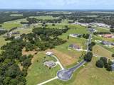 8703 Alafia Hills Drive - Photo 87
