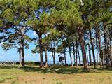 2700 Bayshore Boulevard - Photo 6