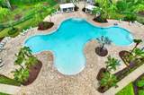 19234 Mossy Pine Drive - Photo 40