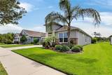 13328 Palmera Vista Drive - Photo 3