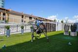 199 Dali Boulevard - Photo 48
