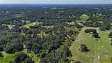  Red Hawk Lane - Photo 12