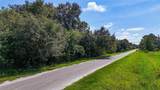  Red Hawk Lane - Photo 4