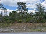 6470 Alicia Drive - Photo 1