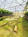 612 Morgan Road - Photo 18