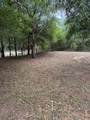 10405 Jungle Street - Photo 7