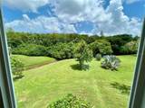 2471 Sumatran Way - Photo 15
