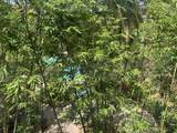 520 Armenia Avenue - Photo 16