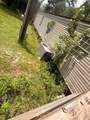 10105 Mcmahon Avenue - Photo 4