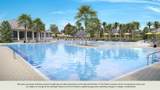 36552 Sagemoor Drive - Photo 15