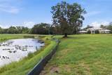 520 Austin Drive - Photo 7
