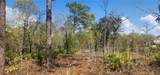 18043 Ramsey Road - Photo 2