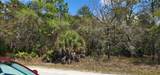 18099 Parakeet Road - Photo 2