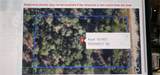 18099 Parakeet Road - Photo 4