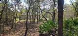 18106 Parakeet Road - Photo 2